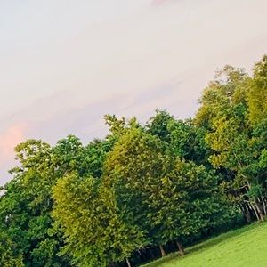 Meet your Posher, Graxie